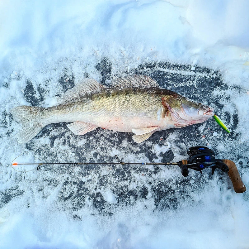 Westin F360° SBass Lures